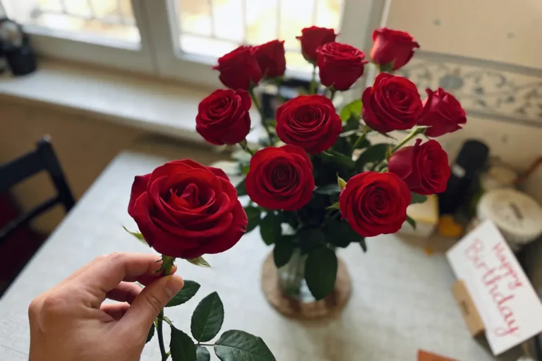 Un bouquet de roses rouges sur une table, main tenant une rose, carte "Happy Birthday" visible.