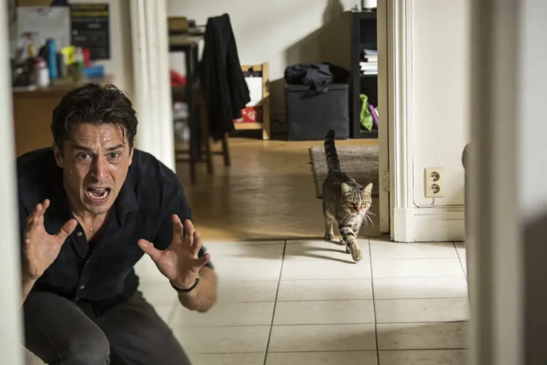 Homme effrayé se cache, chat avance sur le carrelage, intérieur d'une maison en arrière-plan.